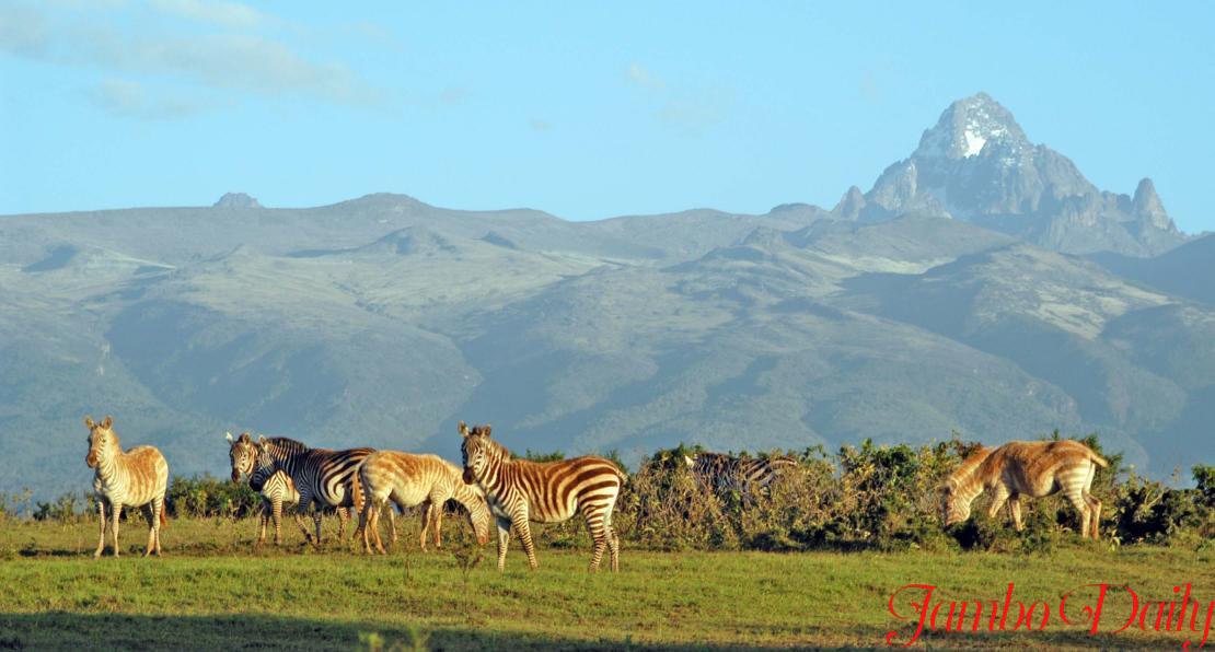 MOUNT KENYA NATIONAL PARK