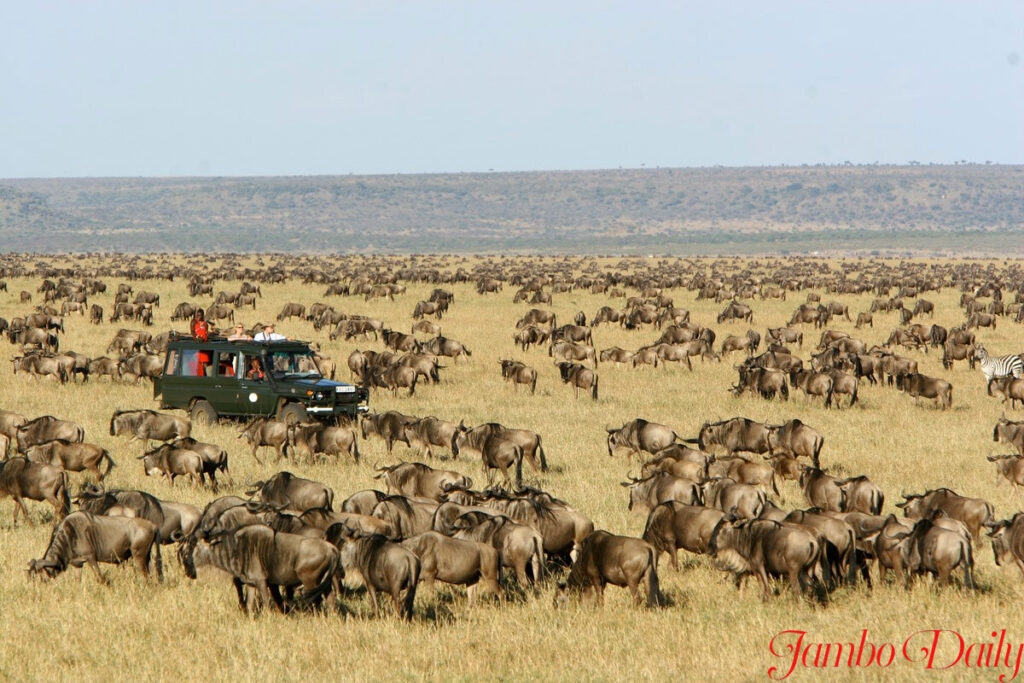Top rated tourist attractions in Kenya