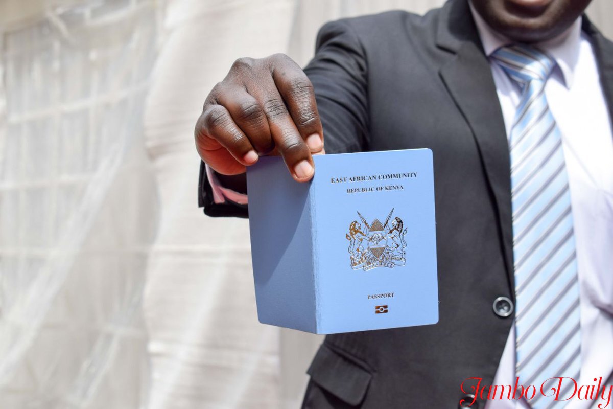 How To Replace A Lost Passport In Kenya   144 