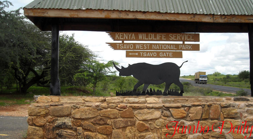 National Reserves in Kenya