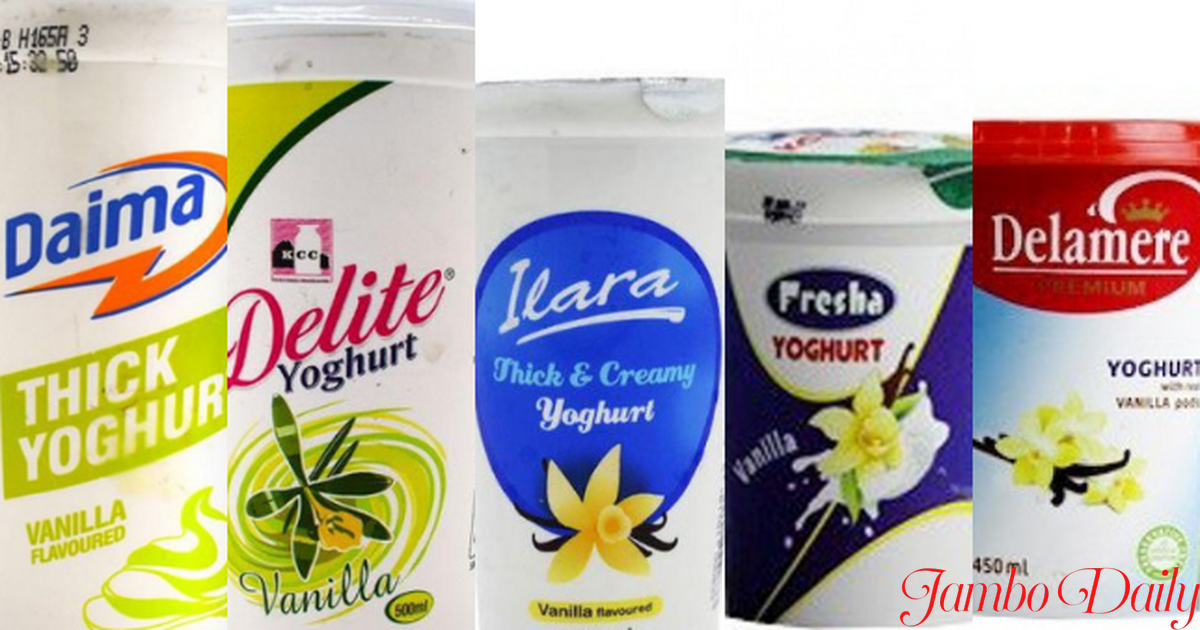 yoghurt business plan in kenya pdf