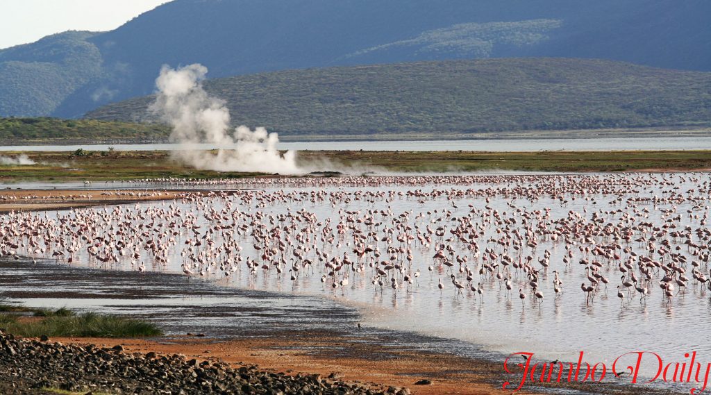 Salty Water Lakes in Kenya