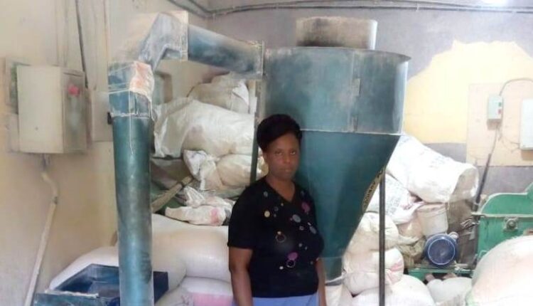 Maize Milling Business