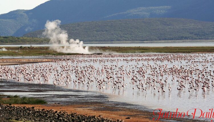 Oxbow Lakes in Kenya