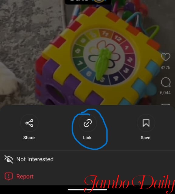 How to download Instagram Videos for Free