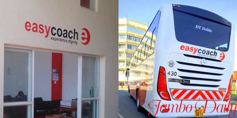 Easy Coach Fare and Routes