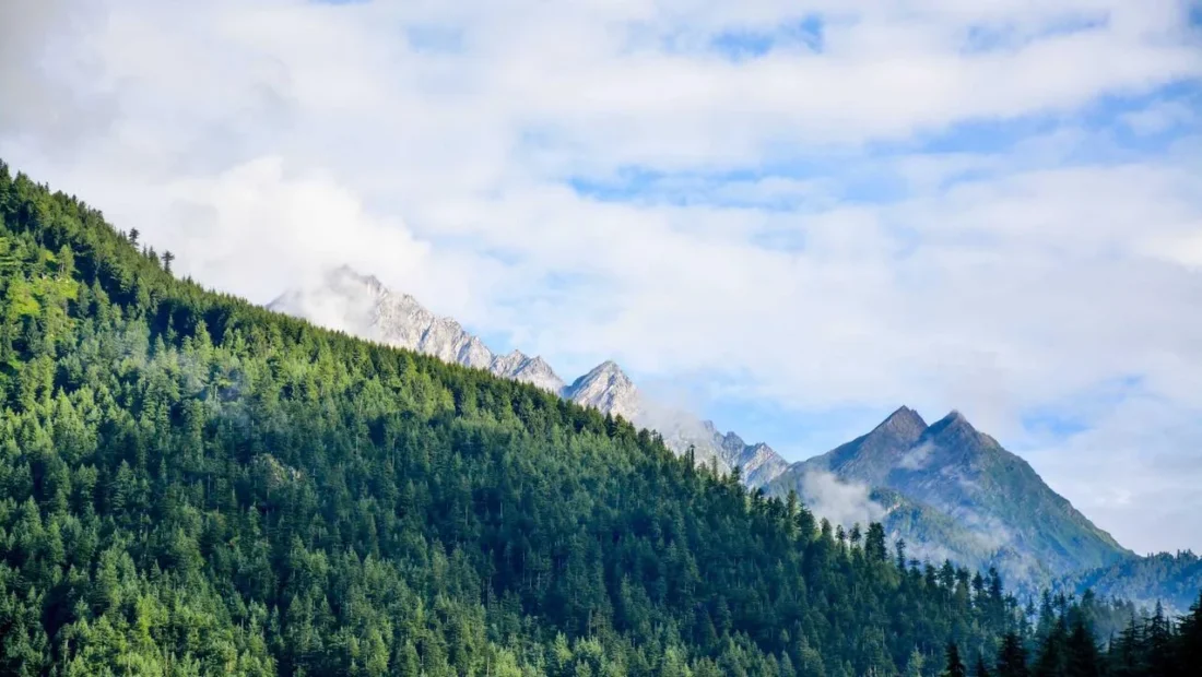 best free productivity tools for remote workers