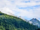 best free productivity tools for remote workers