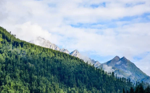 best free productivity tools for remote workers